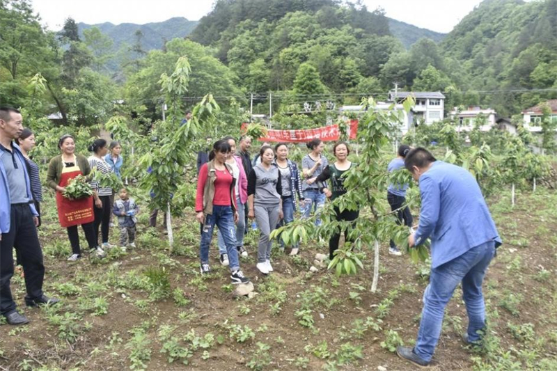 朱恒傳授村民果苗種植技術.jpg